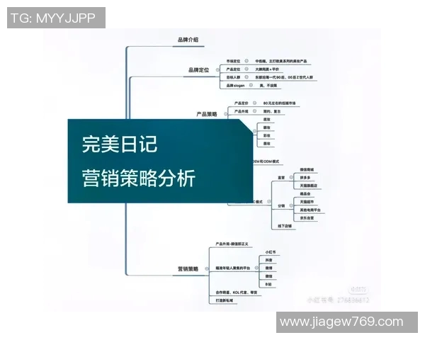 深入分析武汉篮球队的运营策略与市场推广模式