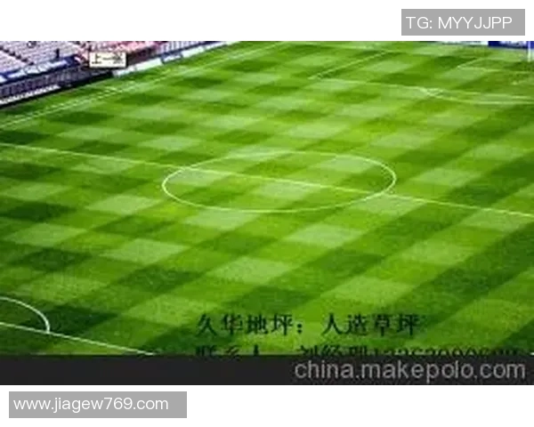 深入分析西安足球队阵地战策略及其战术特点解析 深入分析西安足球队阵地战策略及其战术特点解析