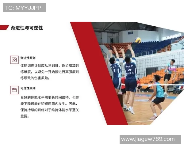 排球新手必看:从零基础到比赛高手的全面入门攻略 排球新手必看:从零基础到比赛高手的全面入门攻略