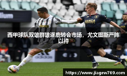 bsports官网入口