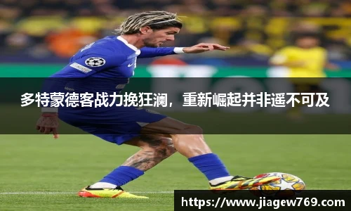 bsports官网入口