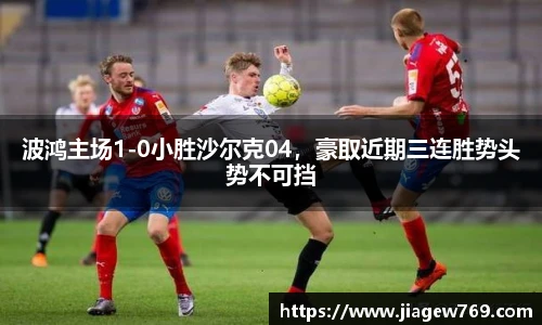 波鸿主场1-0小胜沙尔克04，豪取近期三连胜势头势不可挡