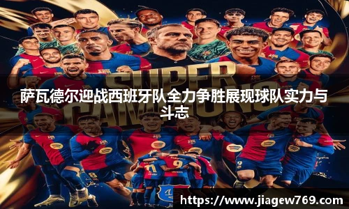 bsports官网入口